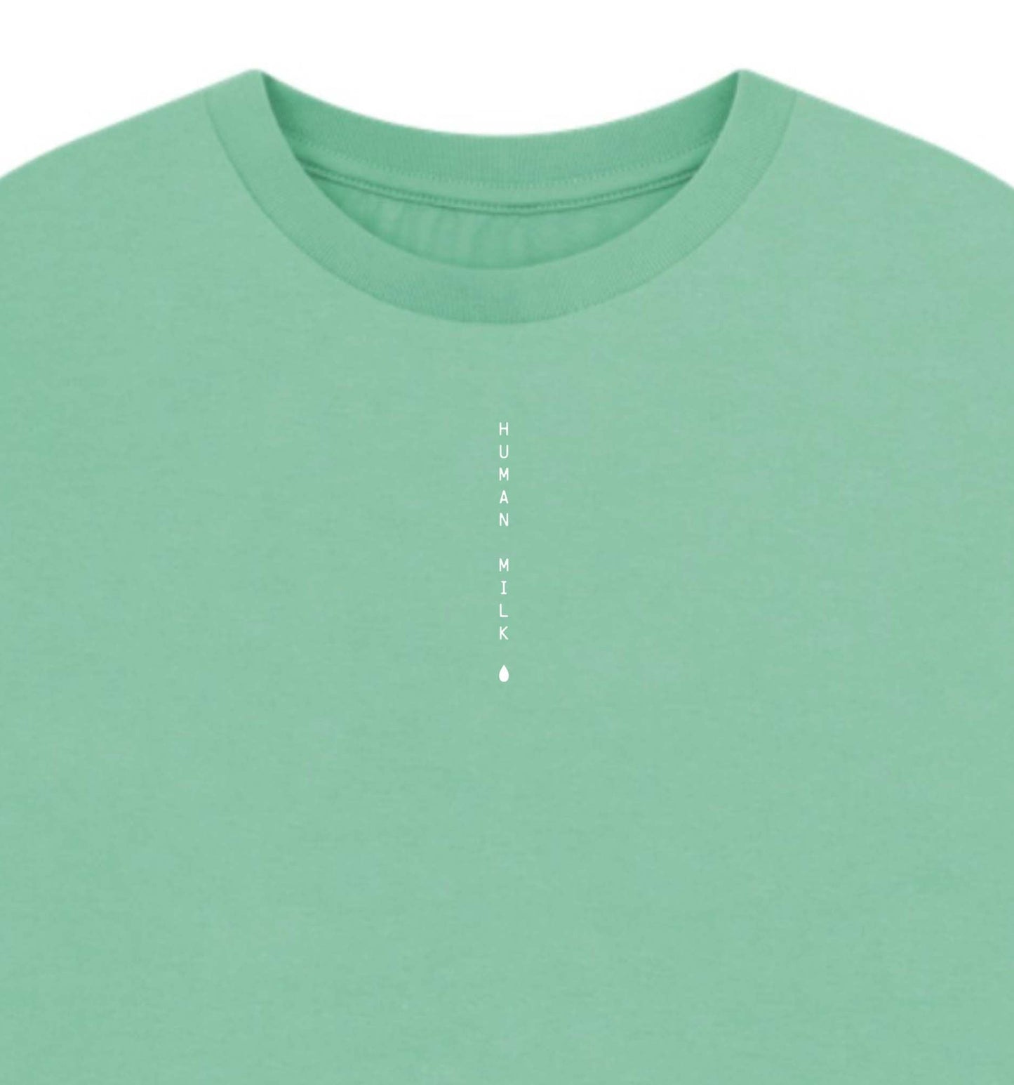HEIST Organic Cotton T-shirt, 5 colour options
