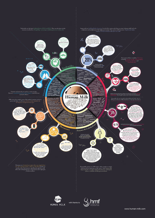 Poster "The Contents of Human Milk" infographic