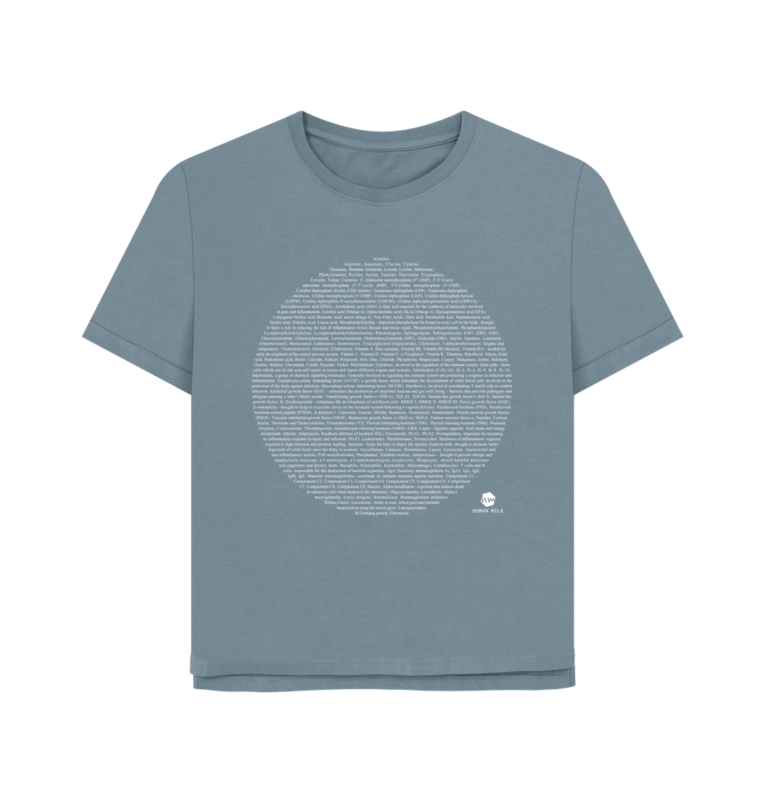 Stone Blue Printed T-shirt
