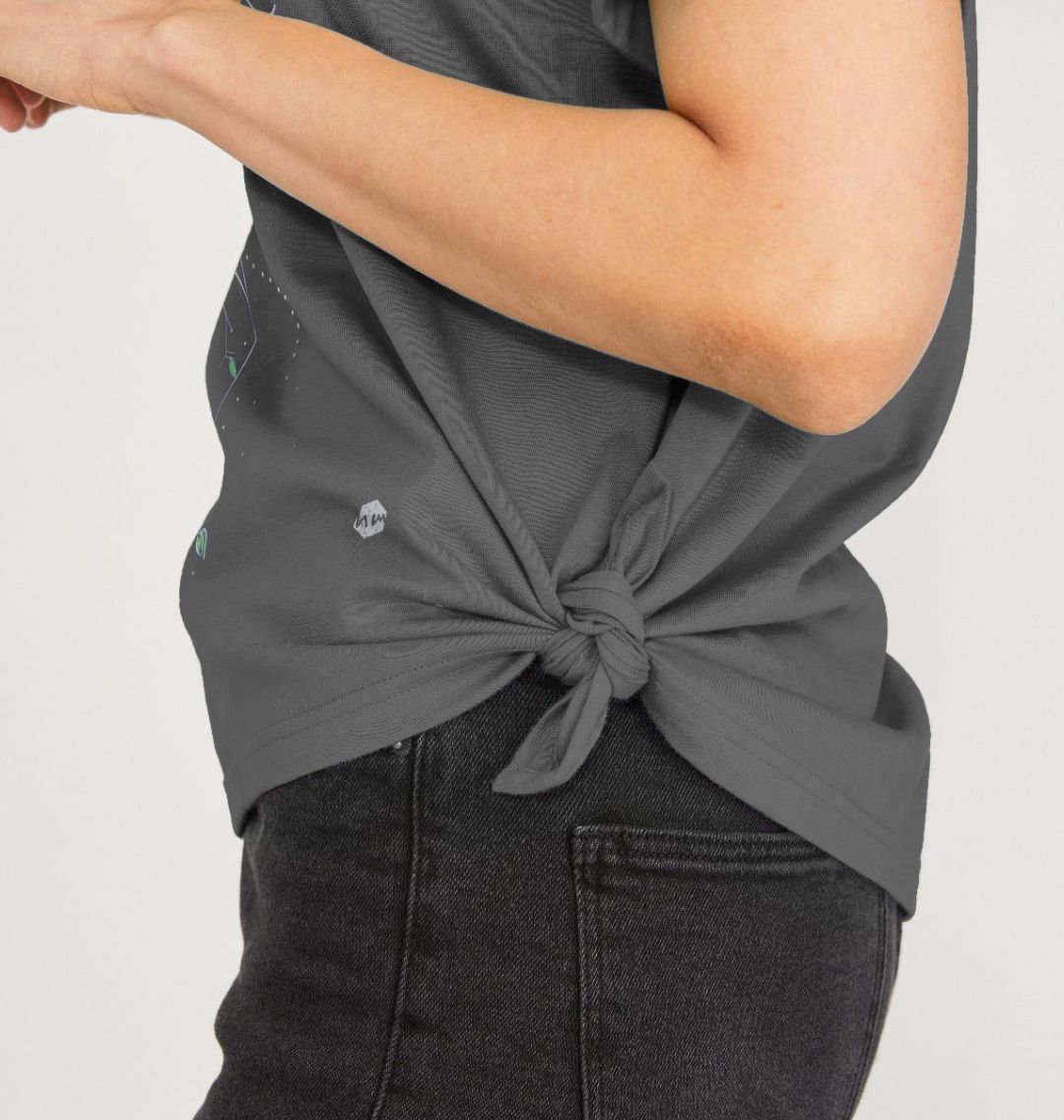 242819173