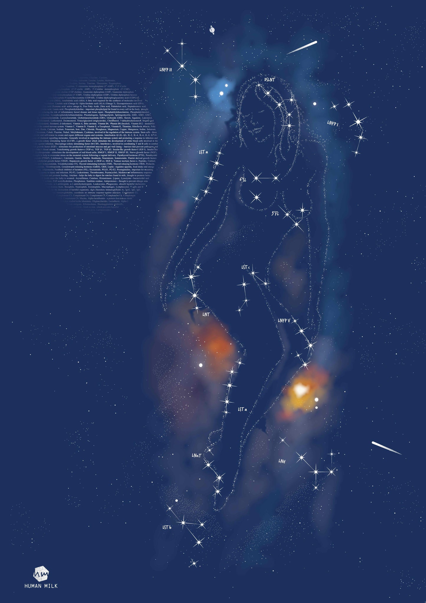 Poster "Constellation and Moon" A1 size