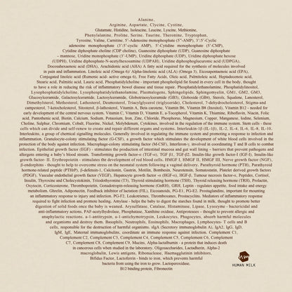 a moon detailing the ingredients of breastmilk, a close up of a hoodie by the brand Human Milk