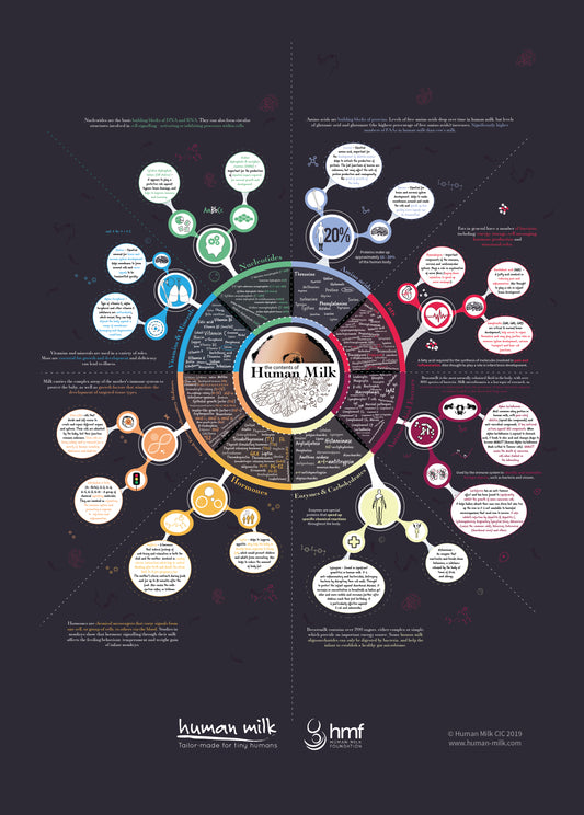 Poster "The Contents of Human Milk" infographic