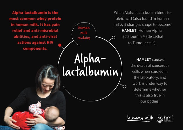 Postcard - Alpha-Lactalbumin (bundle of 15)