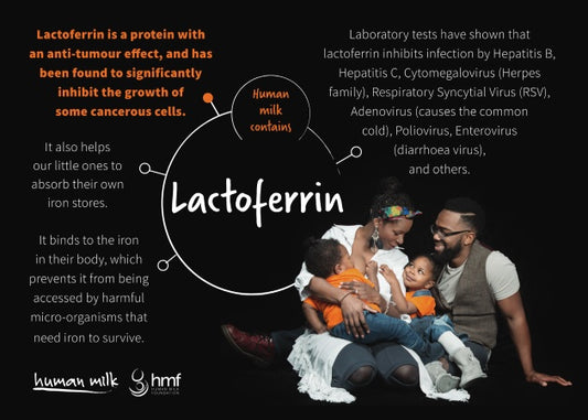 Postcard - Lactoferrin (bundle of 15)