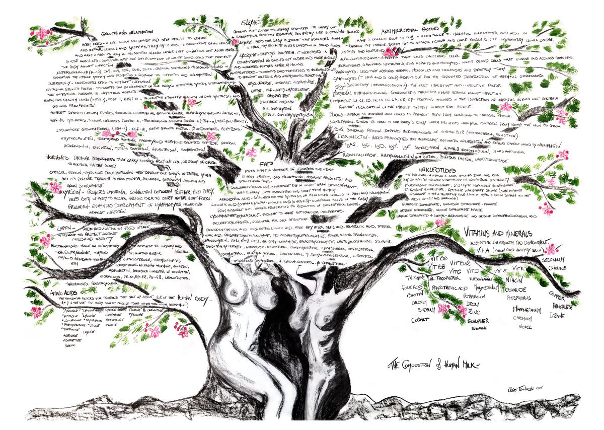 Poster "The Tree of Life" - Composition of human milk